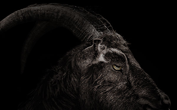 从<strong>代理记账</strong>公司接账的注意事项有哪些?